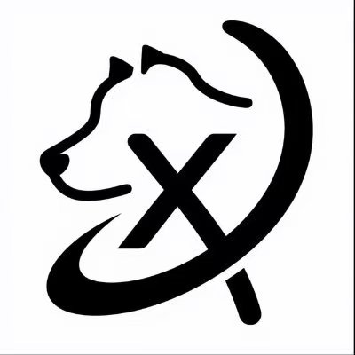 BSC XDOG Logo